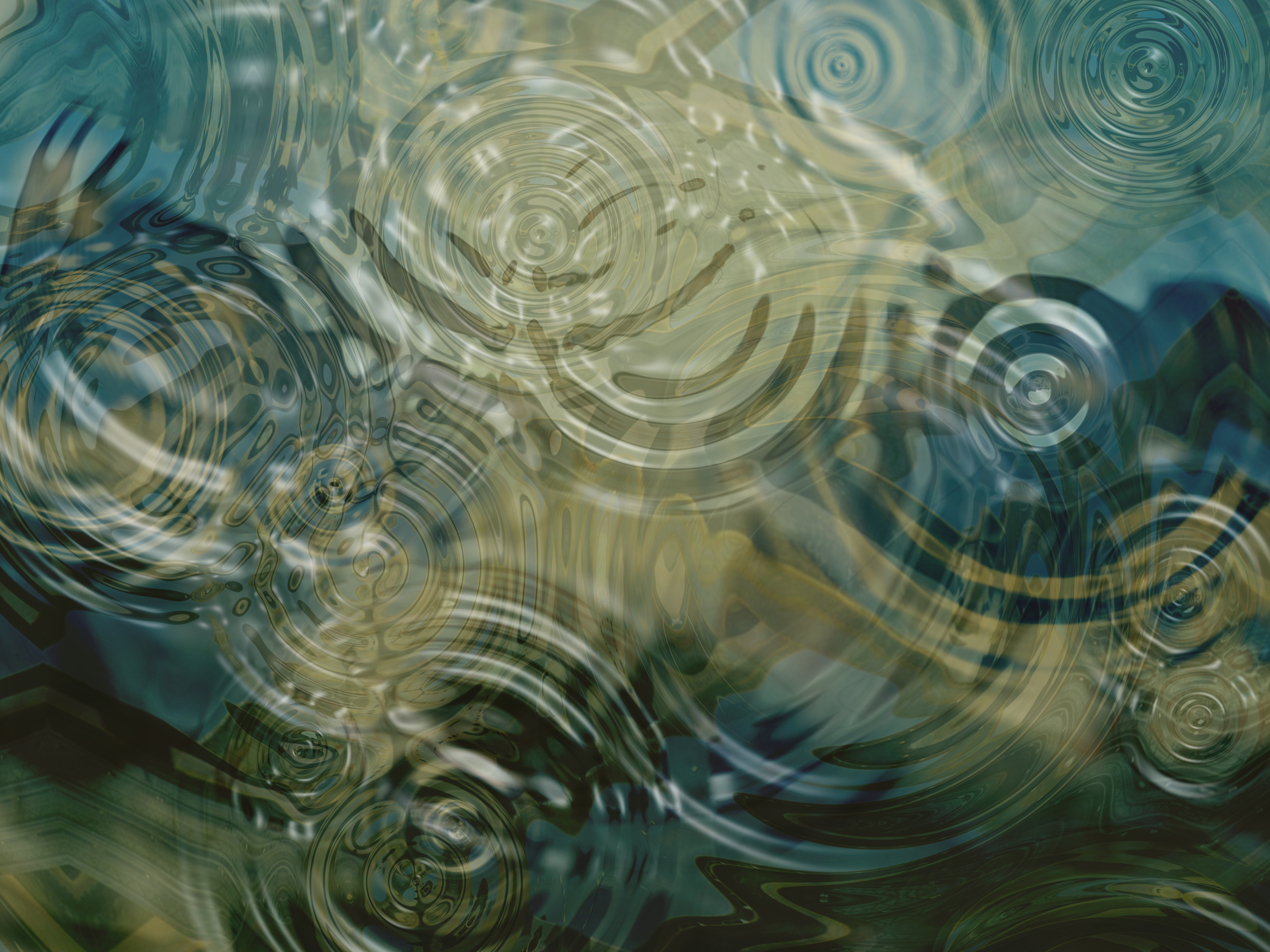 Photo of water surface with concentric rings.